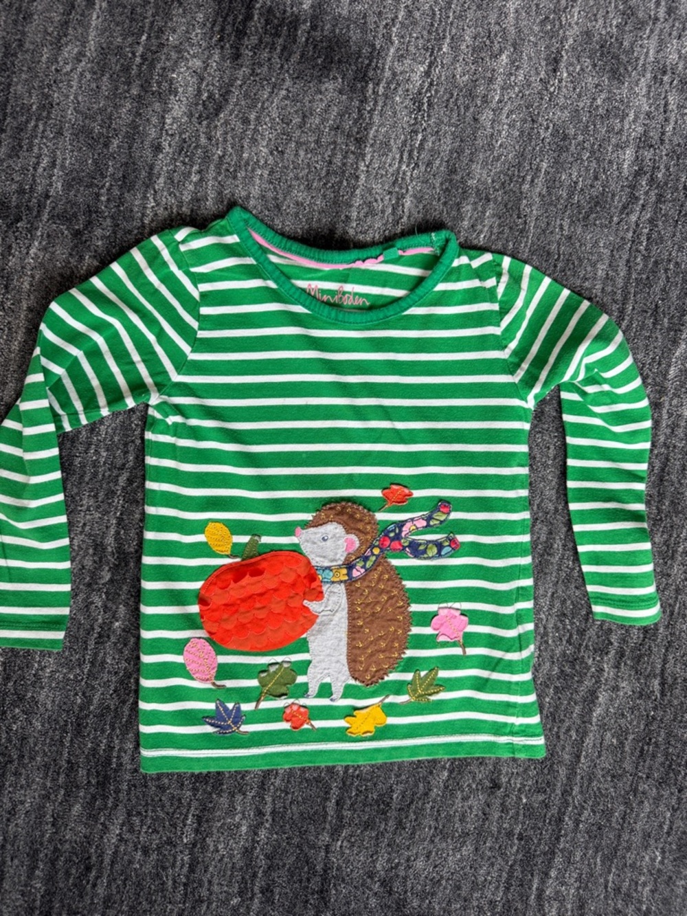 Green Striped Hedgehog Appliqué Long Sleeve Top - Kids